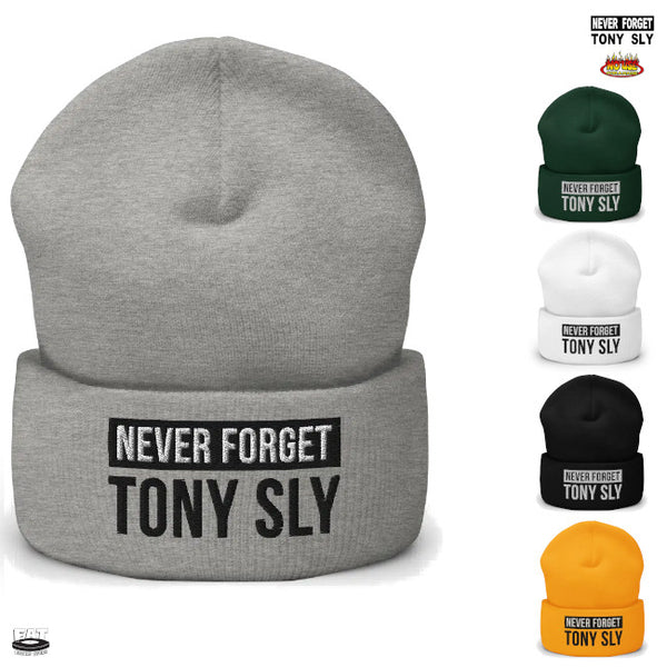 【お取り寄せ】Tony Sly / トニー・スライ - Never Forget ビーニー・ニット帽子(5カラー)