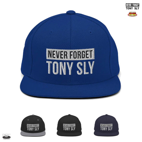 【お取り寄せ】Tony Sly / トニー・スライ - Never Forget スナップバック・キャップ(4カラー)