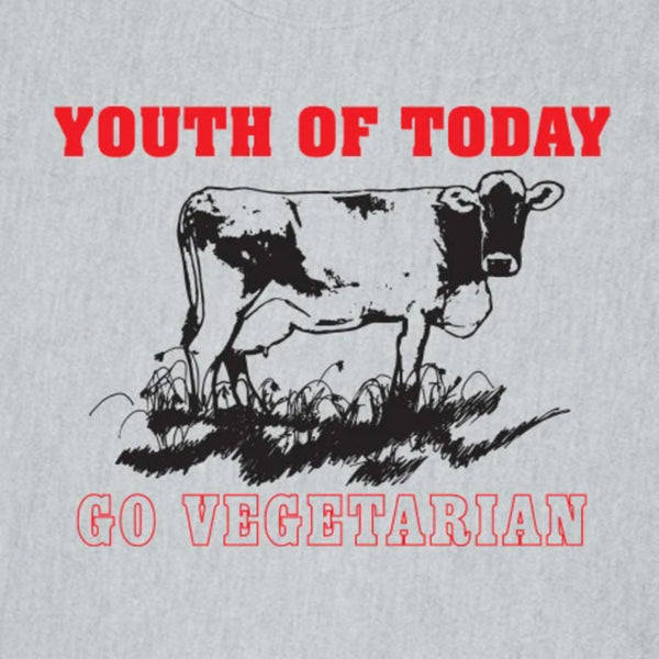 【在庫限り】Youth Of Today /ユース・オブ・トゥデイ - GO VEGETARIAN Tシャツ(グレー)